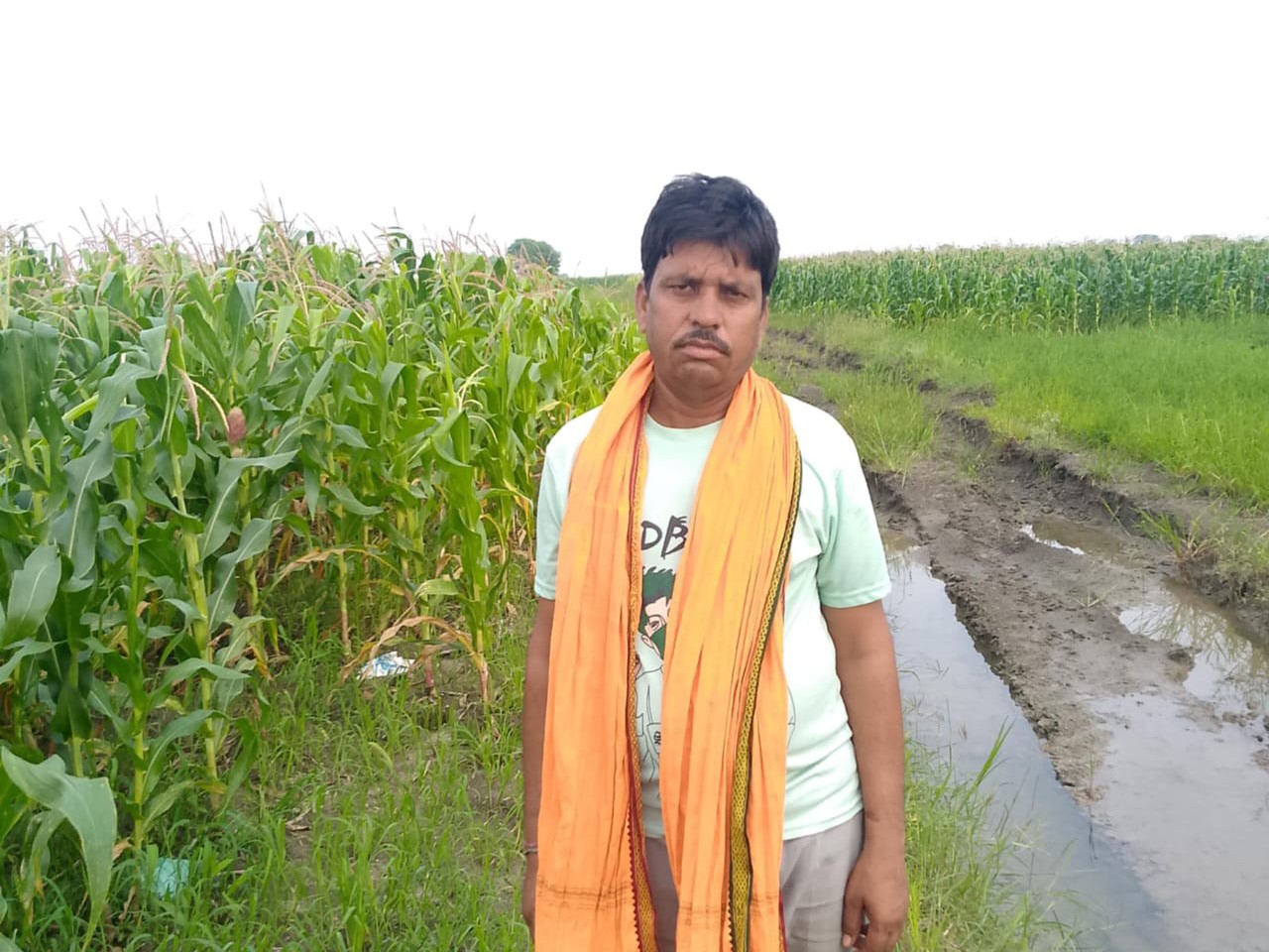 किसान की मक्का की फसल तीसरी बार काटी:  शिवपुरी के लगदा गांव में एक बीघा फसल नष्ट, पुलिस को नहीं मिला कोई सुराग – Shivpuri News