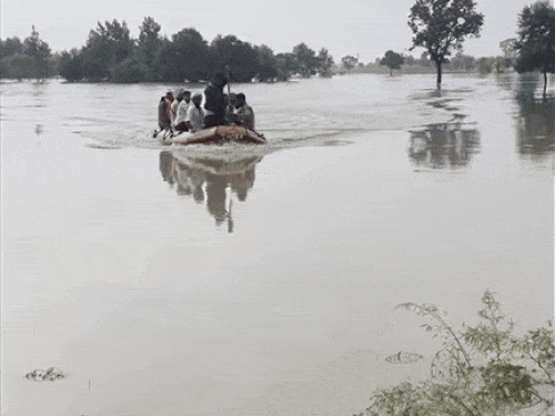 दीनानगर एरिया में एनडीआरएफ की टीमें लोगों को बाढ़ प्रभावित एरिया से निकालते हुए।