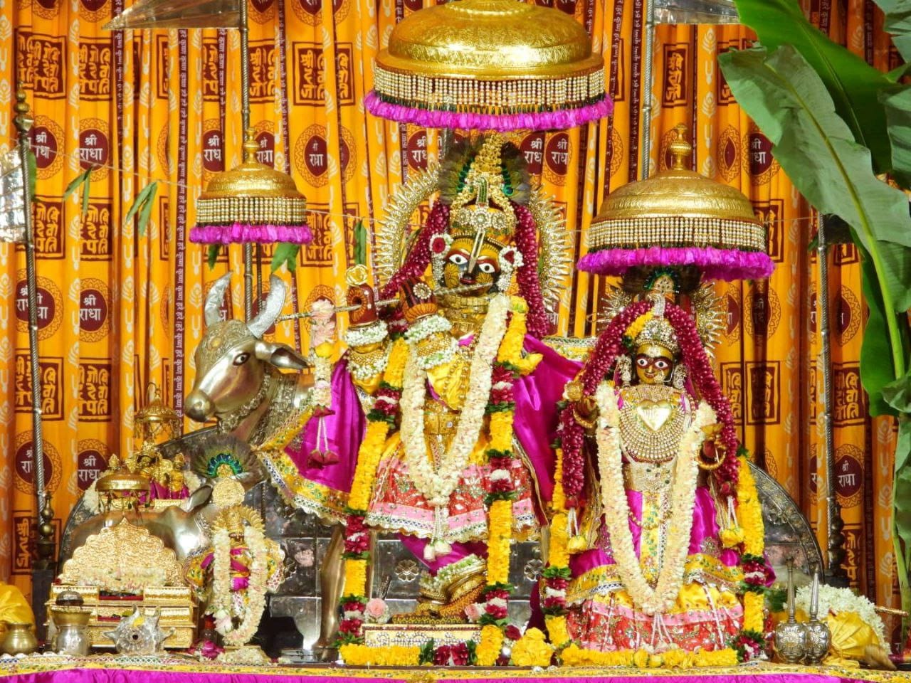 श्रृंगार झांकी में ठाकुर और श्री जी को पहनाए गए राजसी पोशाक