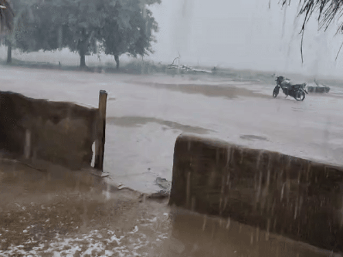 ग्रामीण इलाकों में तेज बरसात से किसानों के चेहरे खिले।