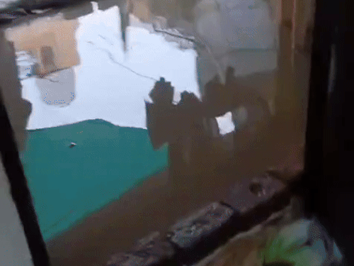 फतेहाबाद में बारिश के दौरान फील्ड में रहेंगे अधिकारी:  डीसी ने दिए आदेश, बिना अनुमति नहीं छोड़ेंगे स्टेशन; घरों में घुसा पानी – Fatehabad (Haryana) News