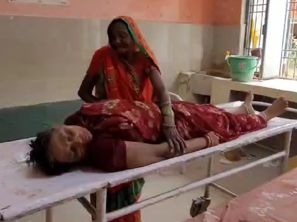 पहेतिया पुल के पास बंदरों के झुंड ने किया हमला। - Dainik Bhaskar