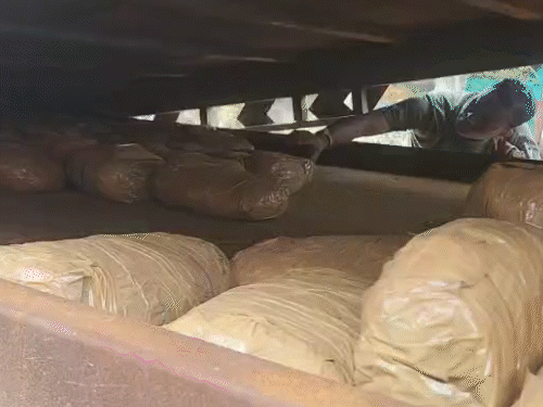 ट्रक में बना रखा था सीक्रेट चैंबर, पुलिस ने तलाशी के दौरान पकड़ा 2 क्विंटल गांजा।