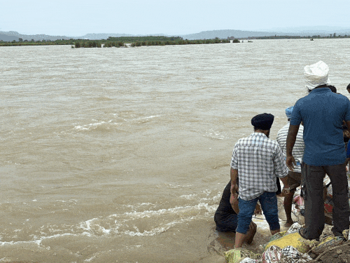 By strengthening the dams, the floods are engaged in making their villages safe.