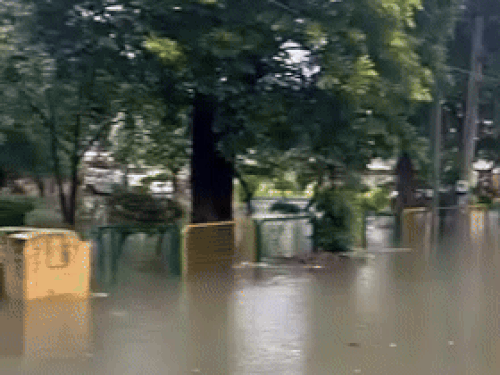 सड़कों के साथ साथ पार्कों तक में पानी भर गया।