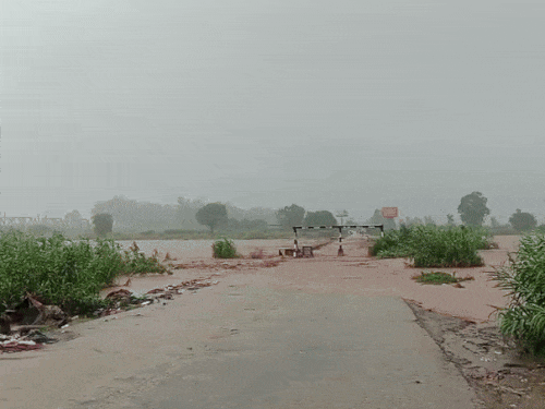 जीरकपुर में घग्गर का पानी  मुबारकपुर एरिया कॉजवे के ऊपर से बह रहा है। जिससे कॉजवे से आवाजाही रोक दी गई है। - Dainik Bhaskar