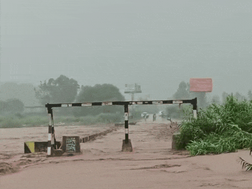 मुबारकपुर में कॉजवे से गुजरता घग्गर का जलस्तर।