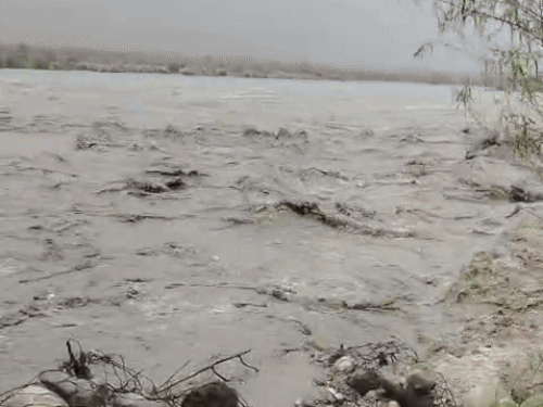 There is a continuous erosion in the land due to the strong current of the Yamuna river near Kamalpur island.