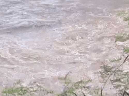 बाढ़ के पानी में डूबने से हुई किसान की मौत।