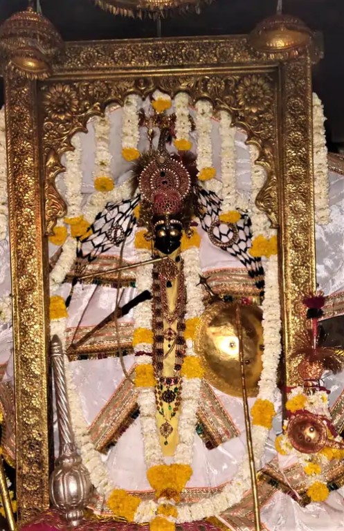 चारभुजा नाथ की श्रृंगारित प्रतिमा ।