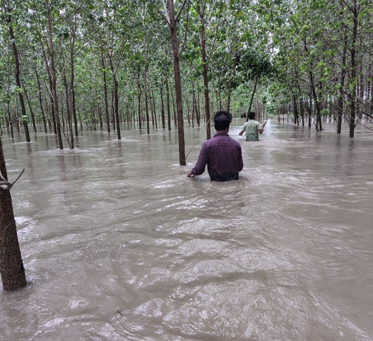 Due to the rise in the water level of Yamuna, the fields have been flooded in the Garhi Bharal area of Gharaunda.
