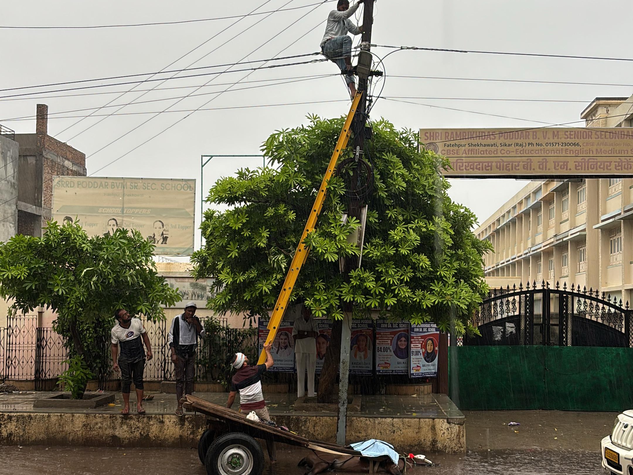 घटना के बाद खंभे पर फॉल्ट को चेक किया गया।