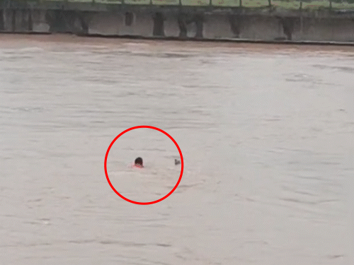 Rajesh tried to escape, but was swept away by a strong current.