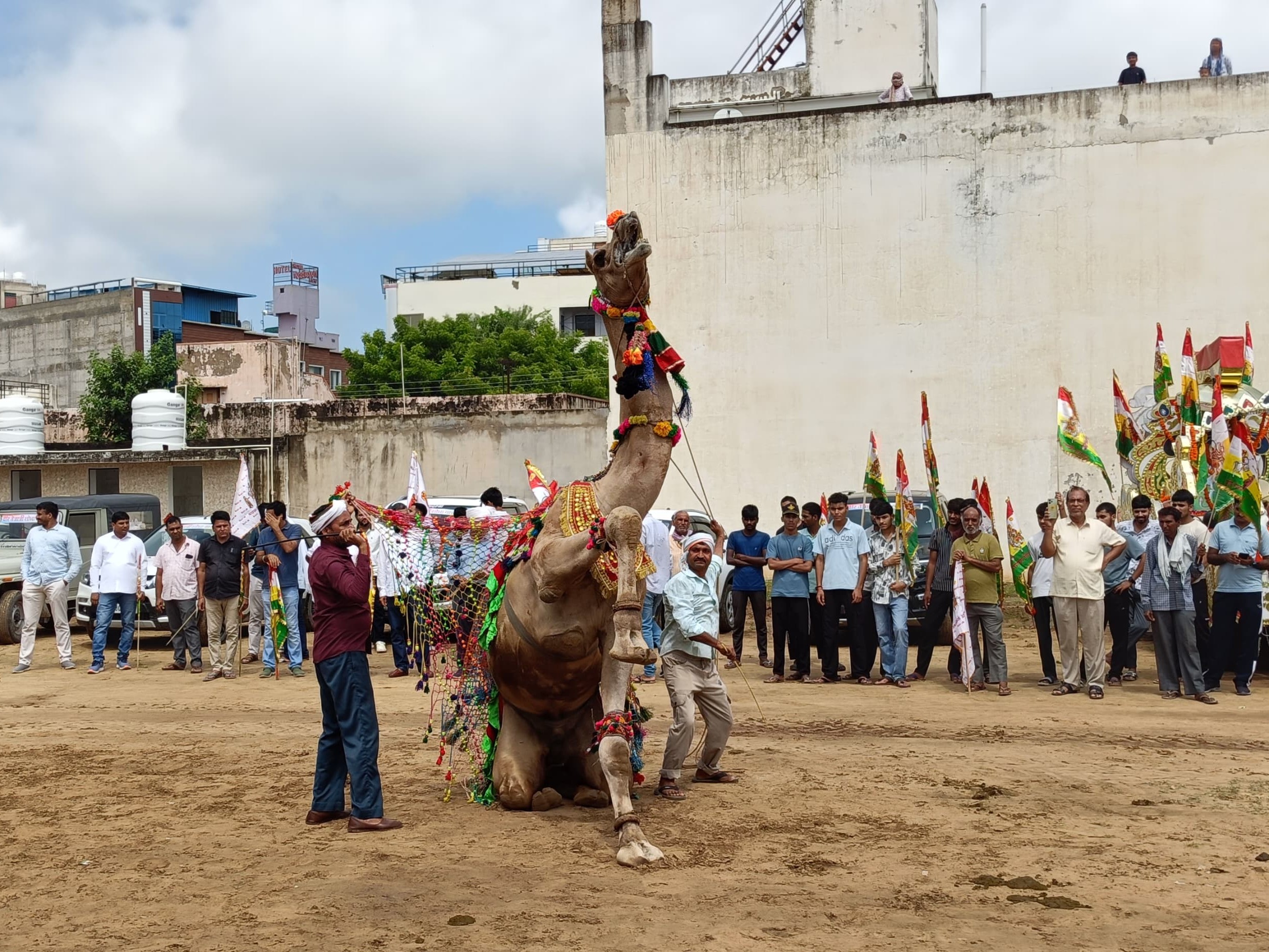 ऊंट और घोड़ी के नृत्य ने लोगों को खूब आकर्षित किया।
