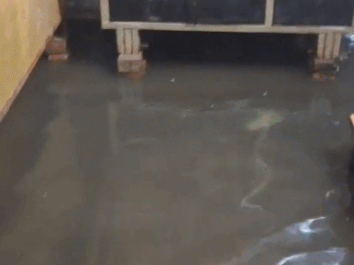 हरियाणा के झज्जर के खरहर गांव में सोमवार को घरों बारिश का पानी घुस गया।