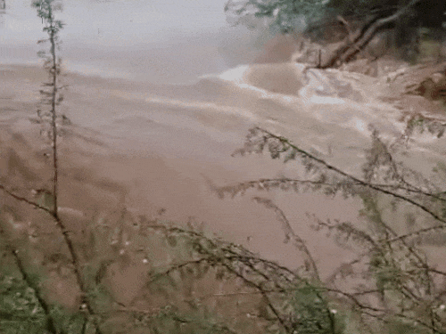 गुरुग्राम में कादरपुर अरावली बांध टूट गया है। जिससे आसपास के आधा दर्जन गांवों में बाढ़ जैसे हालात बन गए हैं। - Dainik Bhaskar