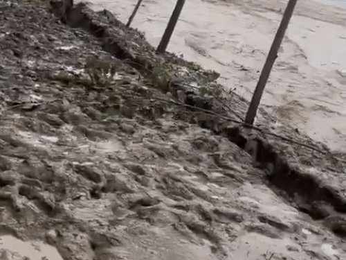 The island of Yamunanagar is eroding with the rapid currents of Yamuna in Kamalpur.