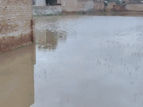 Ghaggar water has been flooded between houses in Mallewala village of Sirsa.