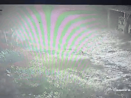 रात करीब 2 बजे गाड़ी एक सीसीटीवी फुटेज में जाती दिख रही है।