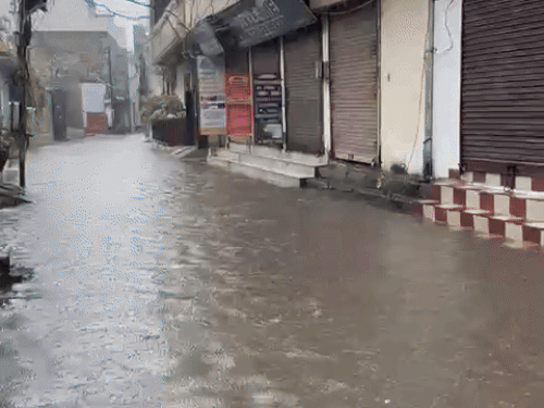 जालंधर बतरा पैलेस के पास भरा पानी।