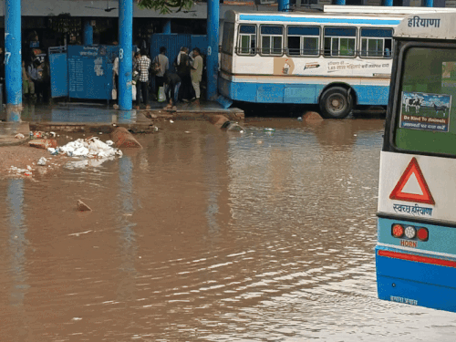 रेवाड़ी में बारिश से जनजीवन अस्त-व्यस्त:  बस स्टैंड समेत शहर के कई इलाकों में जलभराव; खेतों में खड़ी फसलों पर मंडराया संकट – Bawal News