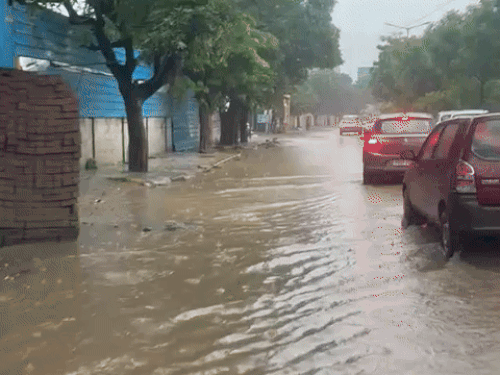 बारिश के कारण चिक-चिक चौक से कपूरथला चौक की ओर जारी सड़क पर पानी भरा हुआ है। जलभराव आधी से ज्यादा सड़क पर है। वहीं, आधी सड़क निर्माण के लिए तोड़ी हुई है। जोकि दलदल बनी हुई है।