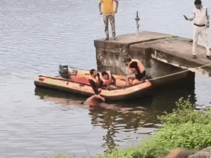 शव को पानी से निकलती एसडीईआरएफ की टीम।