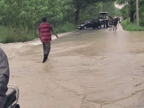 रूपनगर में कई जगह नहरों से पानी ओवरफ्लो हो गया।