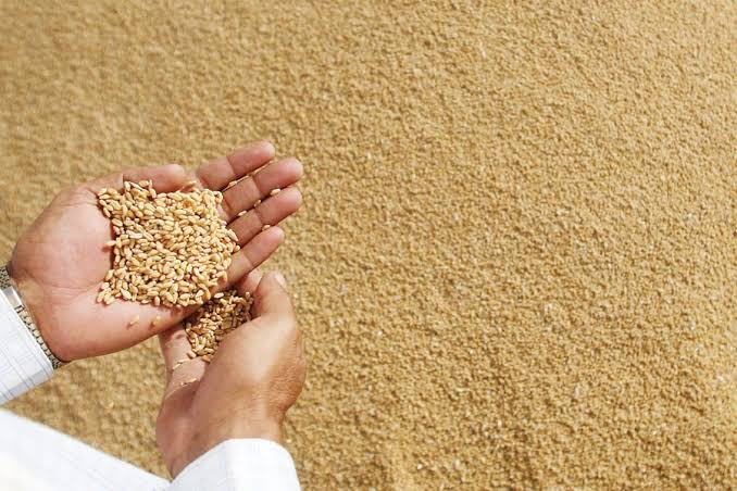 दो साल से राशन नहीं लेने वालों पर होगी कार्रवाई।