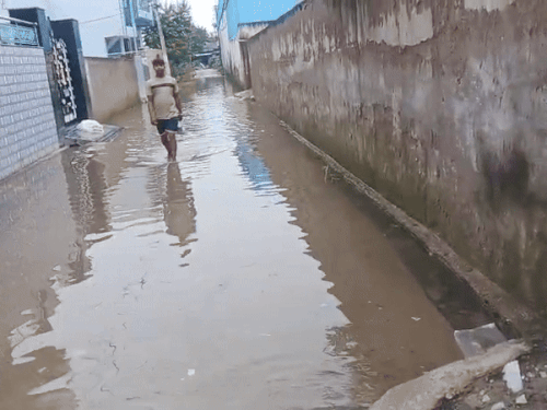 दौसा की राजपूत कॉलोनी में जलभराव से लोगों का आवागमन मुश्किल हो गया है, नगर परिषद का ओर कोई ध्यान नहीं है