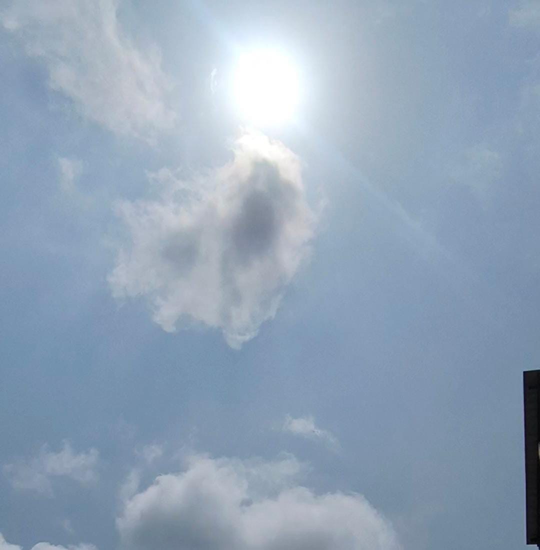 दोपहर 12 बजे बाद तेज धूप निकली।