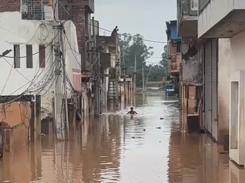 The Tangri River in Ambala has overflowed, sinking the houses.