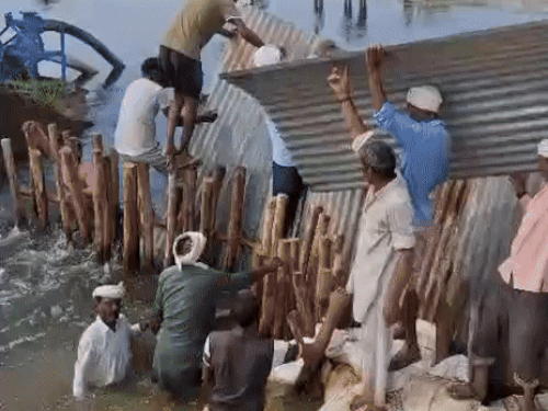 हिसार के गांव कैमरी में ड्रेन टूटने के बाद पानी के बहाव को रोकते ग्रामीण।