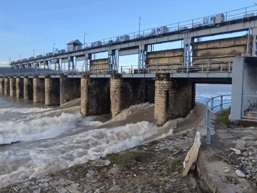 Madhopur headworks in Pathankot and water flowing on the bus in Shimla at Madhopur Headworks and Hathinikund barrage in Yamunanagar. - Dainik Bhaskar