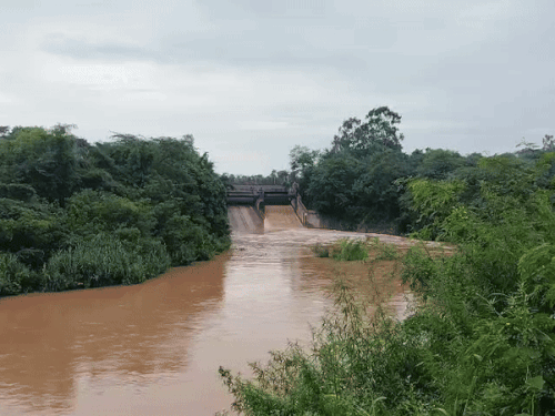 Water goes into Sukhna Cho.