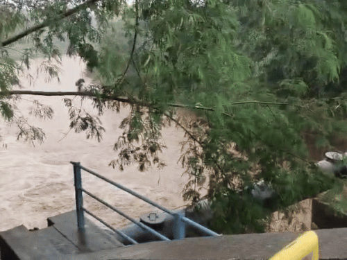 Flood gates of Sukhna Lake were opened at 7 am on Wednesday morning.