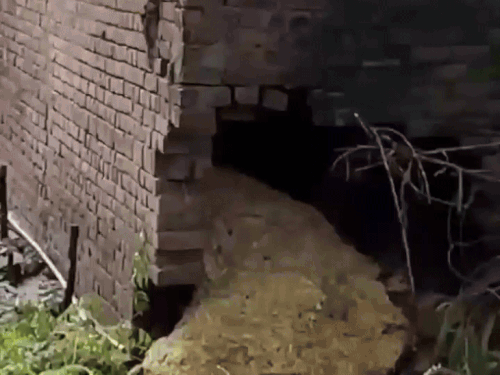 In Ramdas areas of Amritsar, there was a loss in the house and the area broken due to flood water.