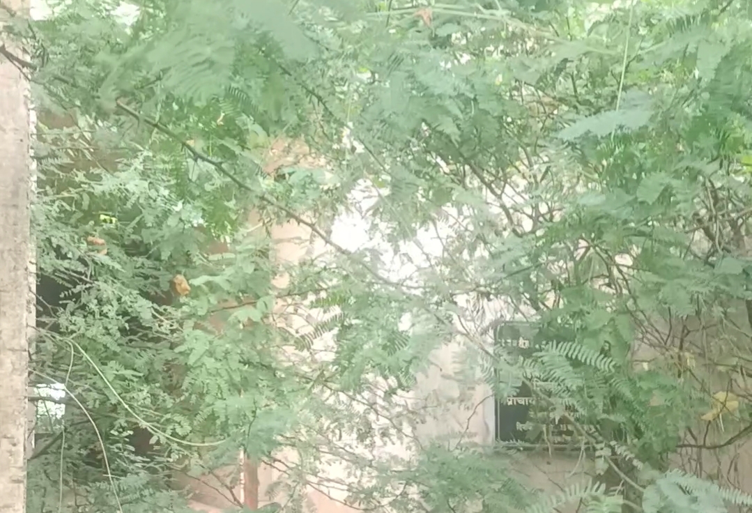 अधूरे हॉस्टल में उगी झाड़ियां और टूटी खिड़कियां – बेटियों का आशियाना अब उजड़ा मकान।