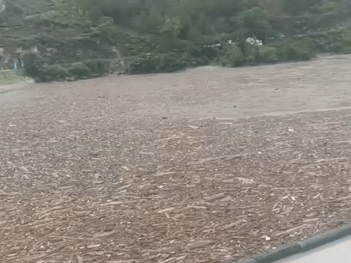 Woods floating in Pandoh Dam.