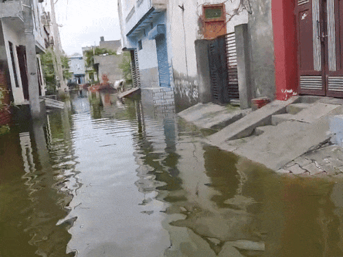 हिसार के शास्त्री नगर इलाके में अब भी घुटनों तक पानी खड़ा हुआ है।