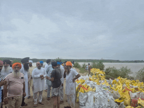 People engaged in strengthening the dam in Nakodar Light village Sangowal and Phagwara light village Mewal.
