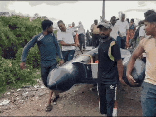 बारिश से बिगड़े हालात के बीच फरीदाबाद, कुरुक्षेत्र में बचाव कार्य चल रहा है। यमुनानगर में यमुना से कटाव हो गया है। पंचकूला में मोरनी रोड टूट गई है। - Dainik Bhaskar