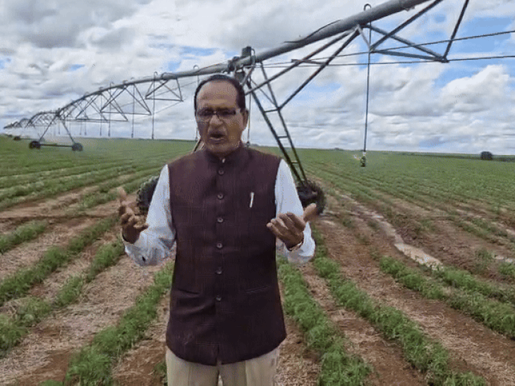 केंद्रीय कृषि मंत्री शिव राज चौहान आज पंजाब के तीन बाढ़ प्रभावित जिलों का दौरा करेंगे। (फाइल फोटो) - Dainik Bhaskar