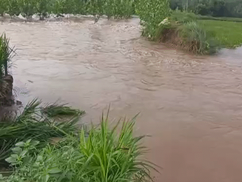 कुरुक्षेत्र में इस्माइलाबाद के नैसी गांव में देर रात मारकंडा का तटबंध टूट गया।