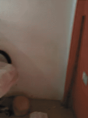 पारा कोतवाली क्षेत्र की डॉक्टर खेड़ा चौकी में तोड़फोड़ के बाद बिखरा सामान।