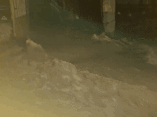 पाल से करीब डेढ़ किलोमीटर दूर फायसागर रोड पर भी पानी का तेज बहाव है।