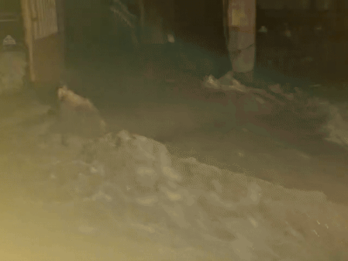 पाल से करीब डेढ़ किलोमीटर दूर फायसागर रोड पर भी पानी का बहाव तेज देखा गया।