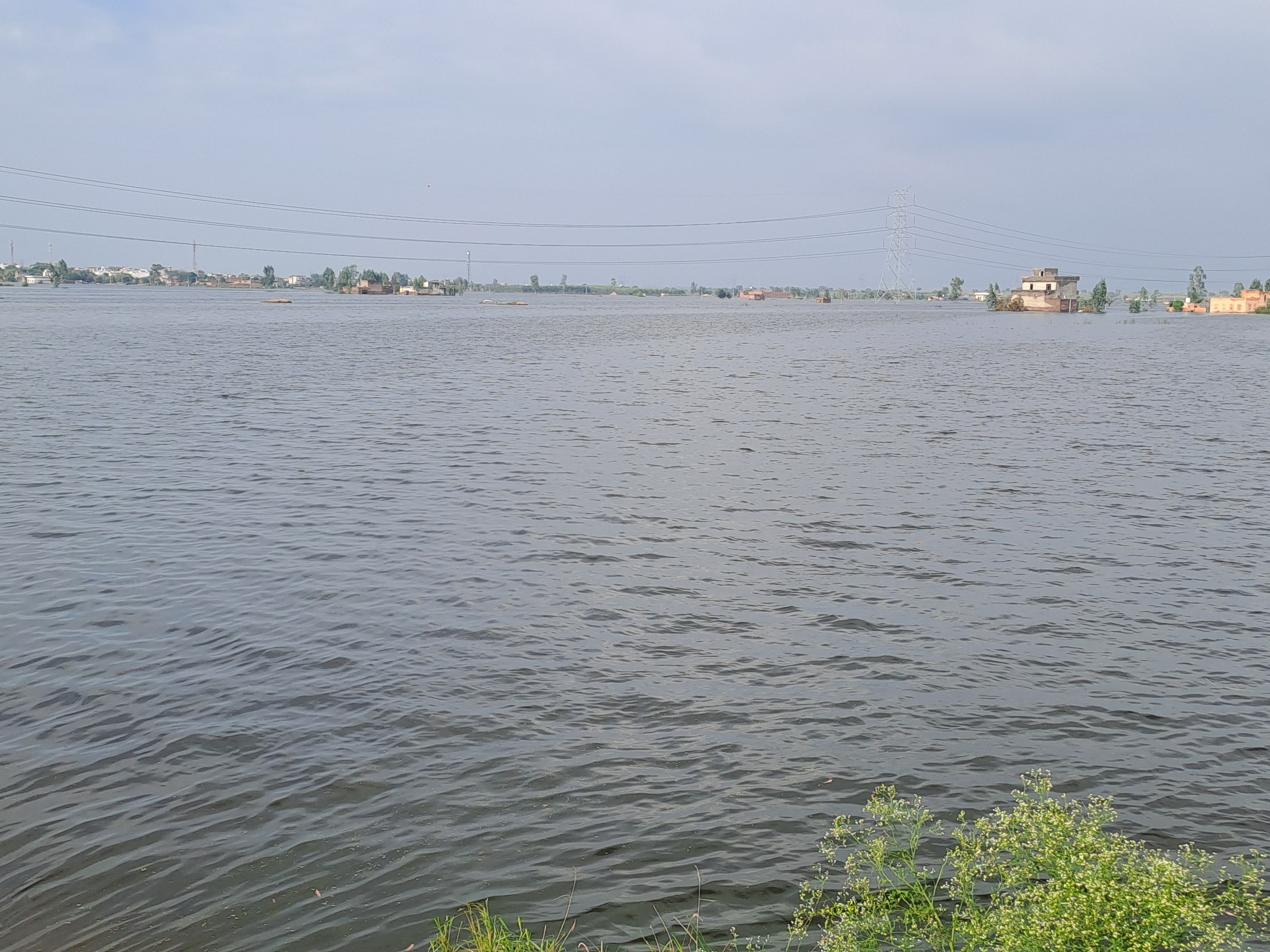 सिंघवा राघो माइनर टूटने के बाद गुराना गांव के खेतों में भरा पानी।