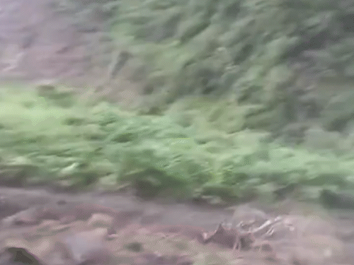हिमाचल के सिरमौर के नौहराधार में शनिवार को पूरा पहाड़ नदी में आ गया। हालांकि, जहां लैंडस्लाइड हुई वहां कोई बस्ती नहीं थी।