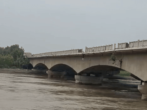 पानीपत में यमुना में BMS स्टूडेंट ने लगाई छलांग, मौत:  2 घंटे तक ढूंढते रहे गोताखोर, नहीं लगा सुराग, लोगों ने बनाई वीडियो – Panipat News